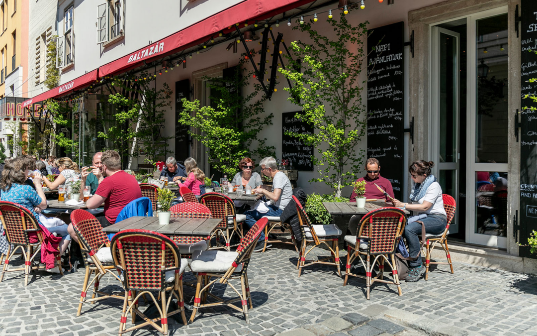 Meal on the terrace of the restaurant